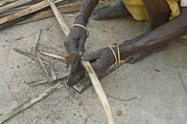 Geleneksel bir tahta bıçağıyla sepet, Kanchipuram, Tamil Nadu, Hindistan 'da el yapımı palmiye yaprakları kesen bir kadın. 