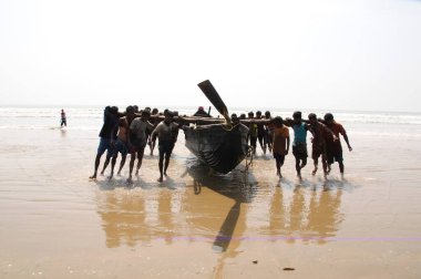 Balıkçılar botu çekiyor, Kalküta Kolkata, Batı Bengal, Hindistan 