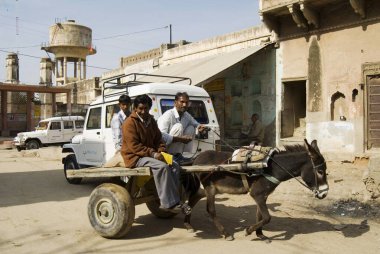 Çölde eşek arabası, Nawalgarh, Rajasthan, Hindistan 