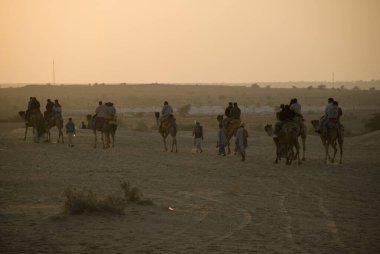 Deve kervanı, Jaisalmer, Rajasthan, Hindistan 'daki Sam çölünde alacakaranlıkta 