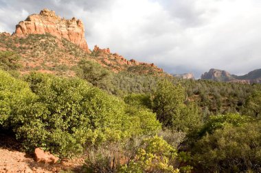 Sedona 'nın Red-Rock manzarası, Amerika Birleşik Devletleri.