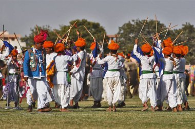 Fil Dekorasyonu, Fil Festivali 2004, Chuagan Stadiam, Jaipur, Rajasthan, Hindistan 