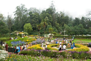 Bryany Park, Kodaikanal halk arasında Kodai, Tamil Nadu, Hindistan olarak bilinir. 