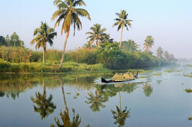 Kum taşıma teknesi, Kuttanad, Kumarakom, Kerala, Hindistan, Asya 