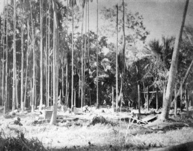 Hindular ve Müslümanlar arasında Kasım 1946 'da Noakhali Doğu Bengal' de çıkan ayaklanmalar sonucu oluşan yıkım. 