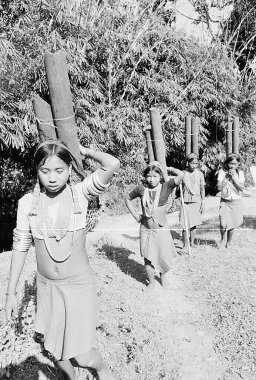 Wancho kabilesinin üyeleri bambu borularda su taşıyorlar, Tirap Bölgesi, Arunachal Pradesh, Hindistan 1982    
