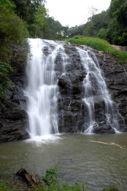 Abbey Khushal Nagar 'da; Coorg Bölgesi; Karnataka; Hindistan