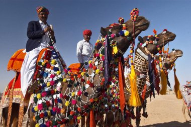 2004 Çölde Deve Dekorasyonu, Jaisalmer, Rajasthan, Hindistan