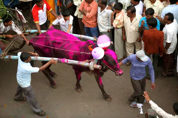 Tanrı Ganesh, Sangli, Maharashtra, Hindistan 'ın kutlama arabaları. 