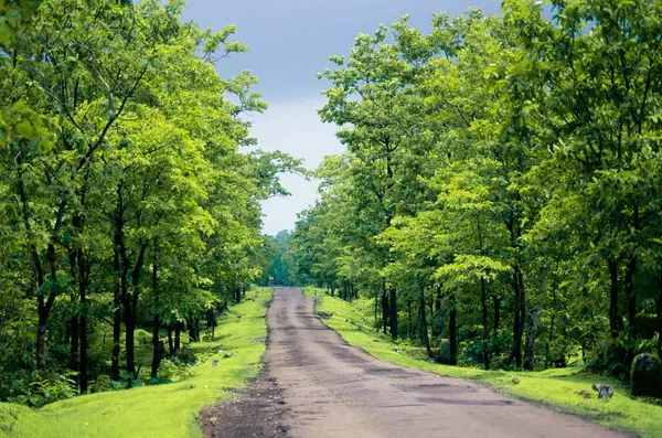 stock image Road in monsoon, Asangaon Pivli, Maharashtra, India 