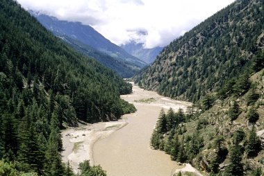 Ganga nehri dağ ormanlarında gündüz vakti 