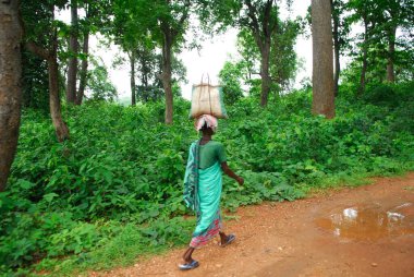 Bagajlı Ho kabilesi kadını, Chakradharpur, Jharkhand, Hindistan 
