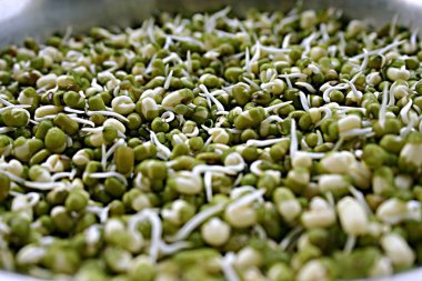 Filizlenmiş ay, sağlıklı yiyecekler, Bombay Mumbai, Maharashtra, Hindistan