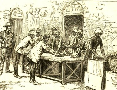 Yaprakları yuvarlıyorum, Punjab, Hindistan 