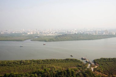 Gorai deresi ve mangrov ağaçları; Borivali; Bombay Mumbai; Maharashtra; Hindistan