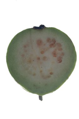 Guava meyvesi beyaz arkaplanda yarım kesilmiş