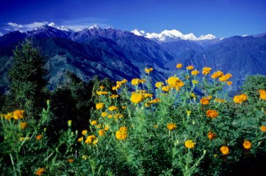 Kanchenjunga yüksekliği 8600 metre, Sikkim, Hindistan 