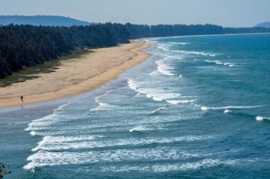 Malvan Plajı, Konkan, Alibaug, Maharashtra, Hindistan