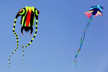Uçurtma festivali, Surat, Gujarat, Hindistan, Asya