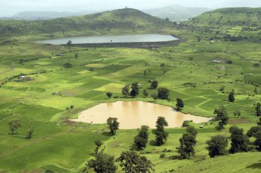 Nasik, Maharashtra, Hindistan yakınlarındaki Trimbakeshwar 'da yeşillik.. 