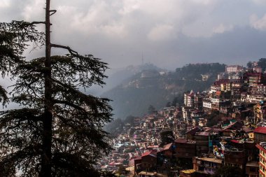 Şehir manzarası, parıltı, himachal pradesh, Hindistan, Asya