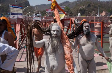 Naked Sadhus crossing the bridge Haridwar Uttarakhand India Asia  clipart