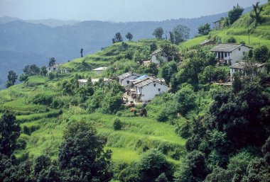 Köy, Almora, Uttaranchal, Hindistan, Asya