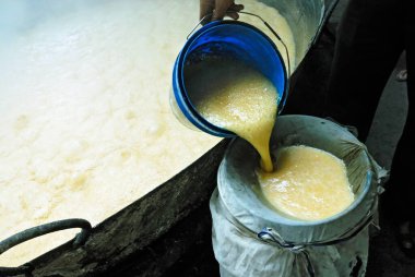 Jaggery, Kolhapur, Maharashtra, Hindistan Yapımı 