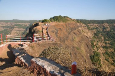 Filler demir parmaklıkları işaret ediyor Mahabaleshwar Maharashtra Hindistan Asya Şubat 2011 