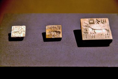 Harappa ve Mohenjo Daro 'dan antik mühürler, CSMVS Müzesi, Mumbai, Maharashtra, Hindistan, Asya