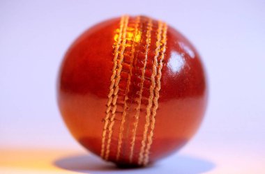 Açık arkaplanda kestane rengi kriket topu