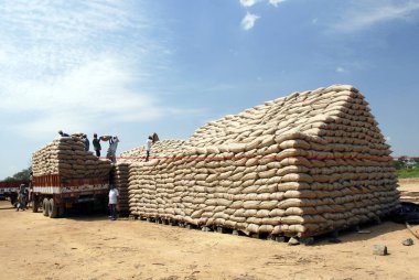 Neyveli, Tamil Nadu, Hindistan yakınlarında pirinç torbaları açık 