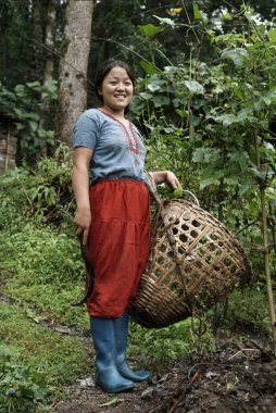 Taşralı kadın kova tutuyor, Pastanga, Sikkim, Hindistan 