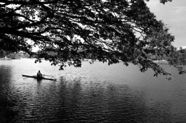 man rowing in rabindra sarobar, kolkata, west Bengal, India, Asia clipart