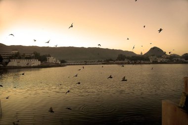 birds flying freely over a tranquil Pushkar lake, Pushkar, Rajasthan, India  clipart