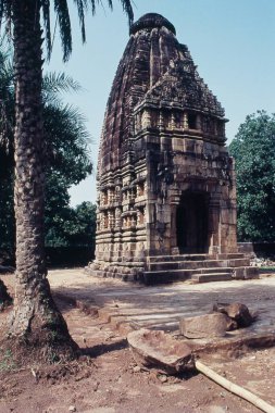 Mama Bhanja Tapınağı, barsur, chhattisgarh, Punjab, Hindistan, Asya