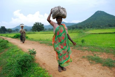 Bagajlı Ho kabilesi kadını, Chakradharpur, Jharkhand, Hindistan   