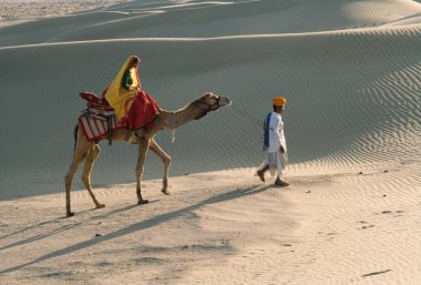 Çöl kum tepelerinde deve sürüşü, Jaisalmer, Rajasthan, Hindistan
