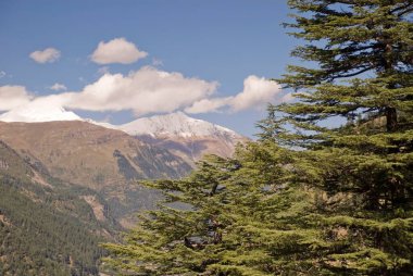 Kalpa Vadisi; Himachal Pradesh; Hindistan