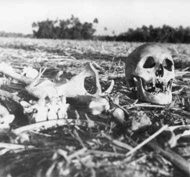 Hindular ve Müslümanlar arasında Kasım 1946 'da Hindistan' da çıkan ayaklanmalardan sonra Doğu Bengal Noakhali 'de bir insan iskeleti   