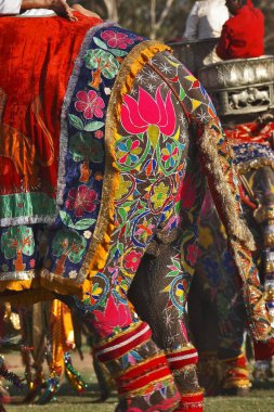 Fil Dekorasyonu, Fil Festivali 2004, Chuagan Stadiam, Jaipur, Rajasthan, Hindistan