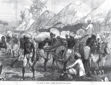 Bengal 'de Kıtlık Kalküta yakınlarında Tahıl Yükleme Arabaları, Batı Bengal, Hindistan 