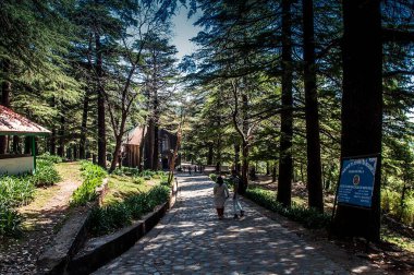 St. John Kilisesi mcleodganj, kangra, himachal pradesh, Hindistan, Asya 