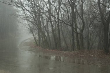 Shankaracharya tapınağına kar yağışı, tepe yolu, srinagar, kaşmir, Hindistan, Asya