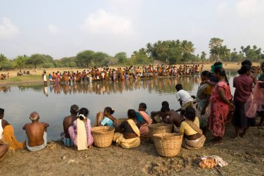 Ponnamaravathy, Pudukkottai, Tamil Nadu, Hindistan 'da balıkçılık festivali