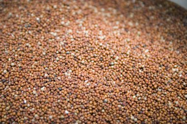 Masa yüzeyine saçılmış Alfa tohumları