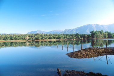 Nilgiris 'teki Masinagudi yakınlarındaki Maravagandy Gölü; Ooty; Ootacamund; Tamil Nadu; Hindistan