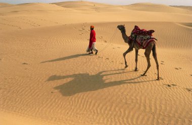 Kum tepelerinde deve, Jaisalmer, Rajasthan, Hindistan