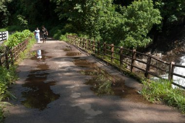 Trichur Thrissur Hindistan 'daki eski köprüde bir çift. 