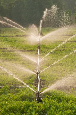 Fıskiyeler çiftliklerde ve tarımda sulama için kullanılır.